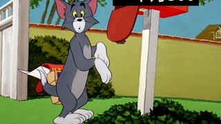 Childcare subsidy issuance status