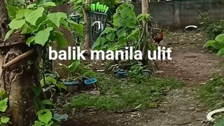 gudluck sa Friday mga NOK,bumalik Sana kayo