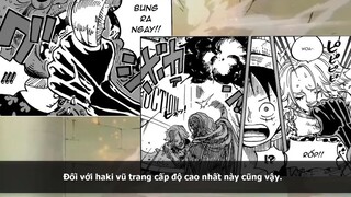 Các Cấp Độ của HAKI VŨ TRANG One Piece p4