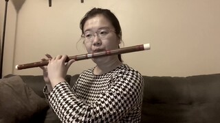 Harry Potter Hedwig’s Theme Bamboo Flute Cover