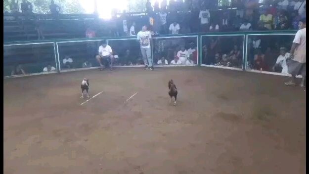 hackfight obc.