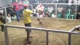 BULIK 1x winner saamin vs. claret na partida dalawa ang tari