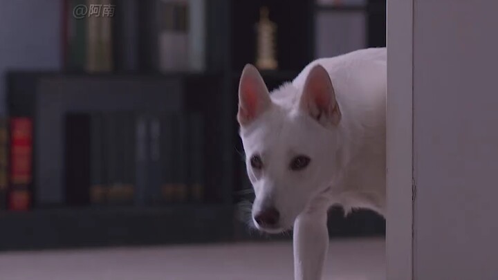 Dunianya mungil, tapi penuh dengan cinta untukmu.