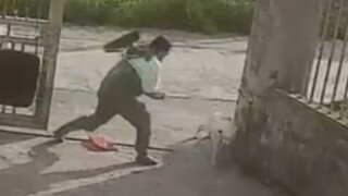 หมา: ฉันฉลาดและรู้จักแสดงความอ่อนแอ