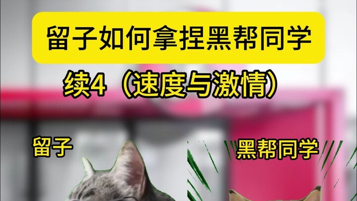 Liu Zi and her gangster classmate's Fast & Furious – Be like