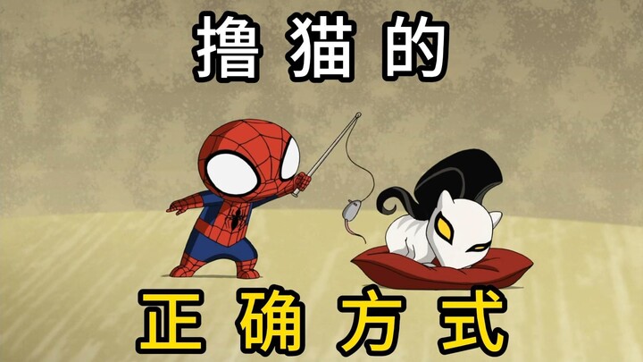 Spider-Man mengajari Anda cara membelai kucing