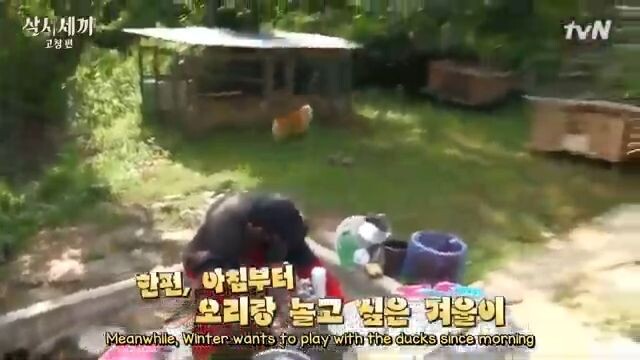 Three Meals a Day 𝕲𝖔𝖈𝖍𝖆𝖓𝖌 𝓥𝖎𝖑𝖑𝖆𝖌𝖊 E9