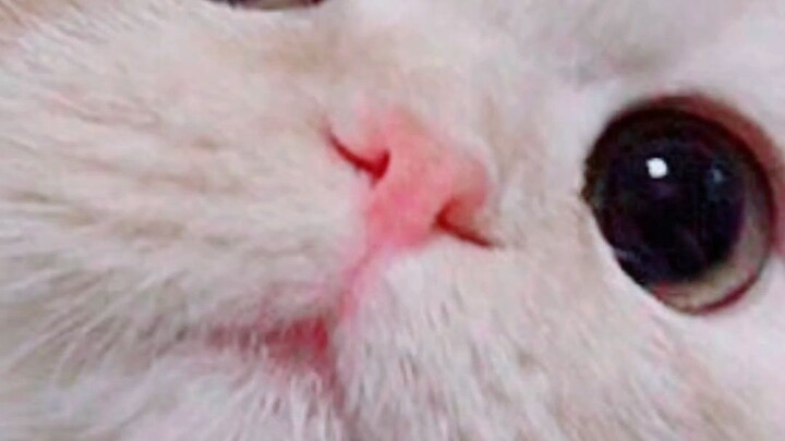 hhdhxhfhfhfhfhfhhdhfhfhfhhfhffhhfhfhfjfhfhfhfhfhffhfhfhfhhffhhfhfghhfhfhfhffhfhfhfhhf vô được nhannn