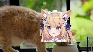 Anime|Virtual YouTuber|How can it be so delicious! Envy!