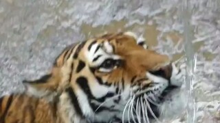 Rút dao chém nước, nước càng chảy xiết.