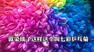 【Liangji Bioassay】What to Talk About at the Flower Market