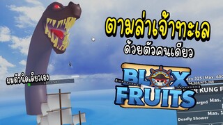 Roblox ตามล่าเจ้าทะเลด้วยตัวคนเดียว จะไหวมั้ย555+ (Blox Fruits)