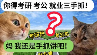 【猫meme】当代00后生存现状