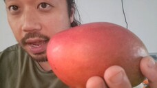 ASMR EATING SOUNDS - MANGO (4)