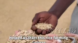 المعلم المبتدئ للأفارقة في الزراعة