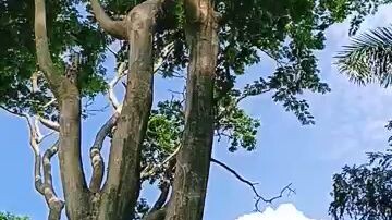 #Bili Bili ভালো করেন ভালোভাবে