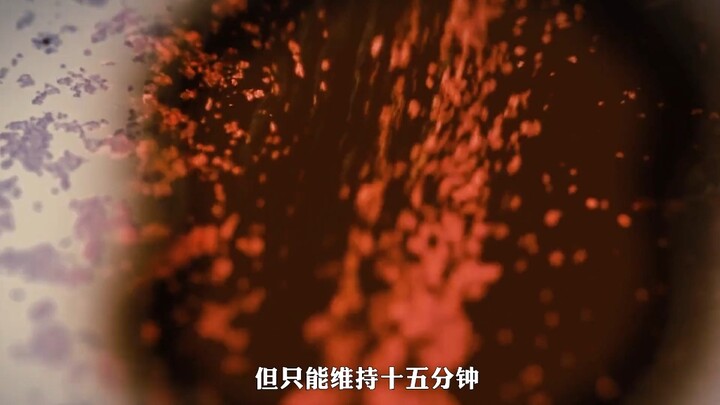 Episode 3/3: I’ve watched 1,000 movies—this is when I encountered the most elusive master.