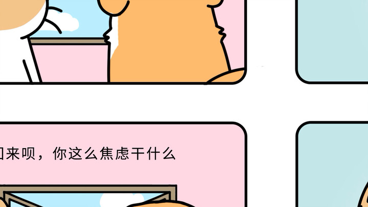 猫：你在说什么哦