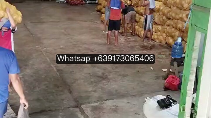 印尼🇮🇩毛椰🥥大量供应