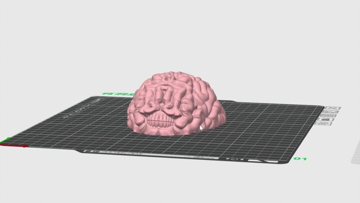Brain Soup Cup