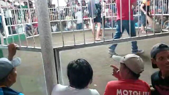 2nd fight win, napaguunahan na naka magandang palo pa.