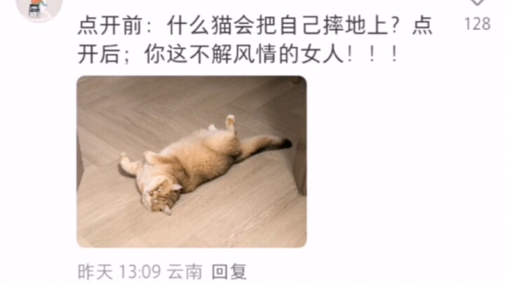 Cười phát tài! Văn học mèo lại có thêm một tác phẩm nữa.