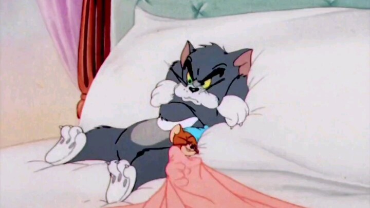 【Cat and Mouse】This is so cute, right?