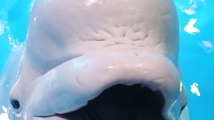 Rốt cuộc trong đầu ông ấy đang nghĩ gì vậy?