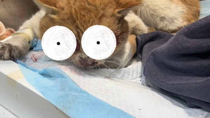 حظّ الأعمى وسوء حظه