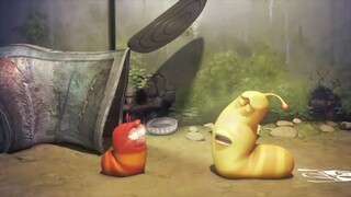 爆笑虫子-----瞪眼比赛