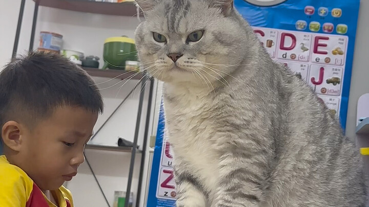 Đây mới là tài khoản của tôi, những cái khác đừng tin nhé!