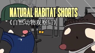 220415《自然动物观察局》- Natural Habitat Shorts