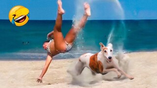 Try Not To Laugh Watching Funny Animals Compilation | Petsquad