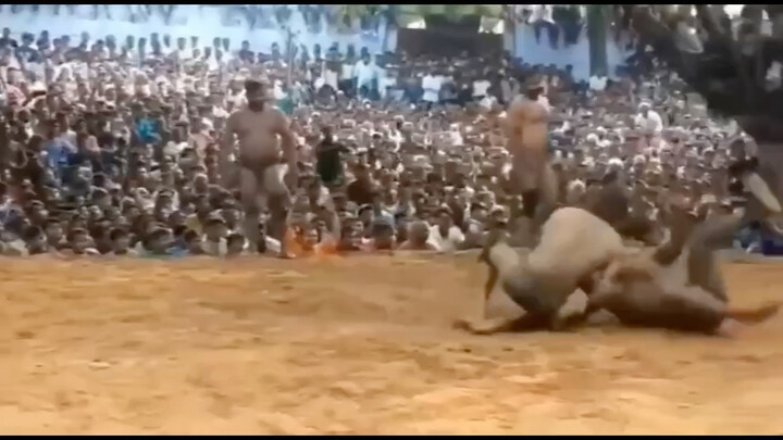 What’s this move called?