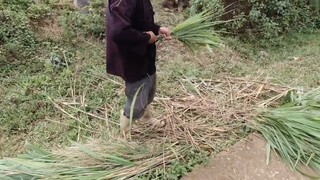 Khám Phá Bản Làng Người MÔNG Biên Giới Việt Trung P4