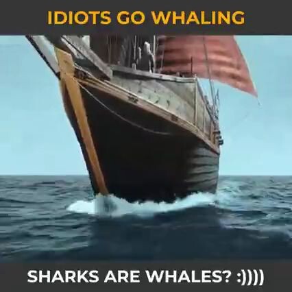 They think sharks are whales.🐋🦈🚣‍♂