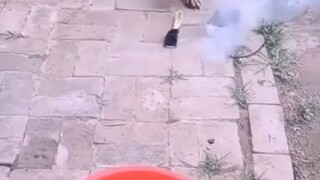 ถ้าเป็นฉันนะ แปดส่วนคงหันหลังวิ่งหนีทันที แม้ว่าต้นตอของไฟจะไม่ใช่รถจักรยานยนต์ไฟฟ้าก็ตาม