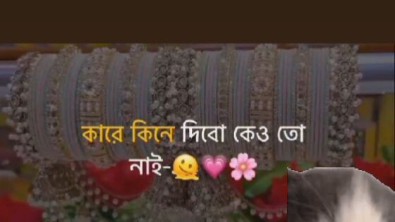 কেও নিবা হুম 🥺🫣🫣
