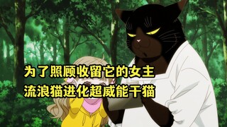 七月新番：流浪猫为了报答女主的收留，究极进化成超威黑猫