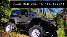 Jeep Rubicon in the forest