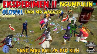 EKSPERIMENT #8 | NGUMPULIN GLOWAL DARI PET MR.WAGGOR❗ FREE FIRE BATLEGROUND