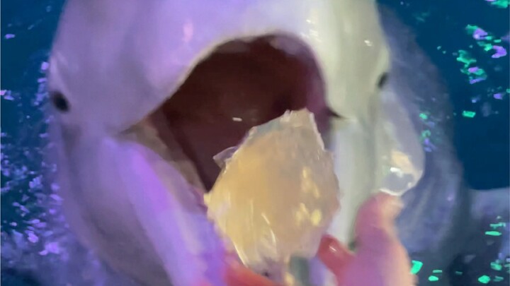 Barrier-free communication