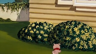 Tom and Jerry | The best Dad Ever