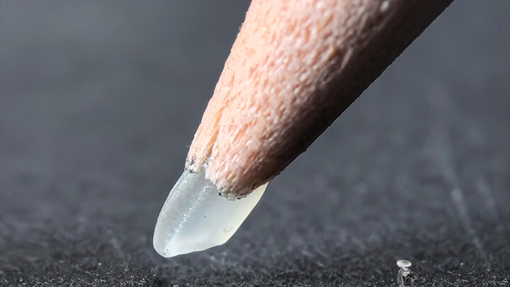 Khuyến nghị không nên đem tác phẩm của tôi đi dự thi, rất dễ đoạt giải đấy!