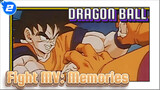 DRAGON BALL| MV: Fight Memories_2