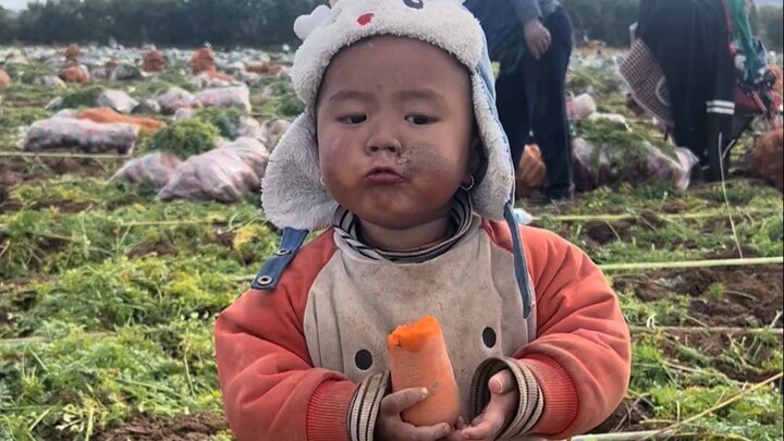 Old‑breed kid: stress‑resilient, tough, heat‑ and cold‑tolerant, virus‑resistant, and depression‑pro