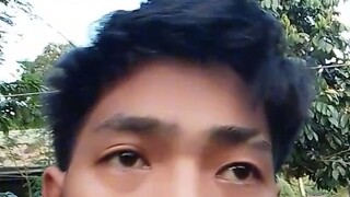 Boyax
