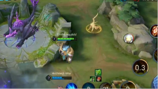 Toro.exe _ Aov.exe