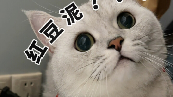 Mẹ tôi nói mẹ sẽ không lừa tôi đâu!