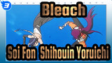 [Bleach/Soi Fon&Shihouin Yoruichi] How Much I Loved You Before, How Much I Hate You Now_3